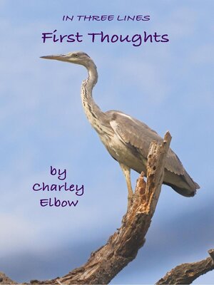 cover image of First Thoughts